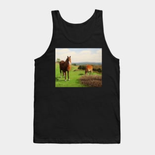 Sugar Loaf Horses Tank Top